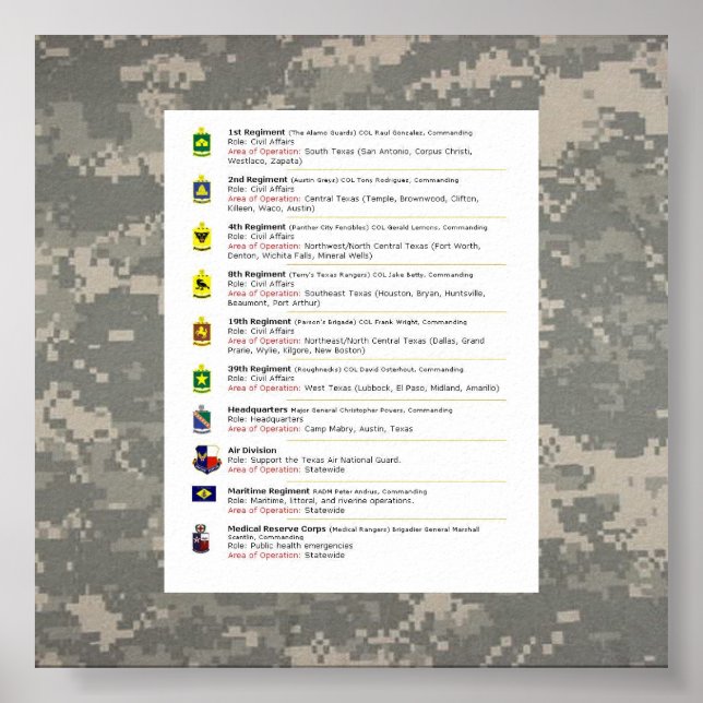 Póster digital, 10 maneras de TXSG, UNITS TXSG (Frente)