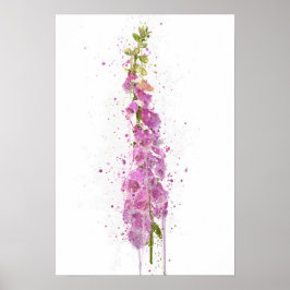 Póster Digitalis