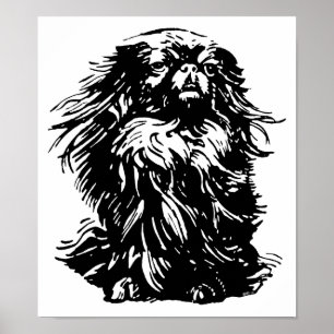 Póster Dignidad Pekingese
