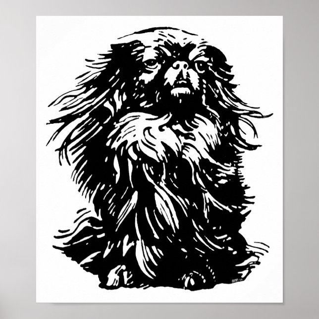 Póster Dignity Pekingese (Frente)