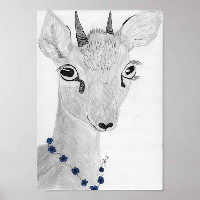 Póster Dik - Dik (Frente)