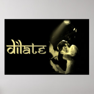 Póster DILATE Poster Sasha