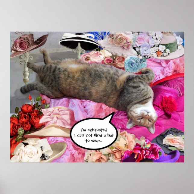 Póster Dilema del gato de la princesa Tatus con Gorras de (Frente)