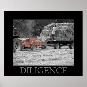 Póster Diligencia