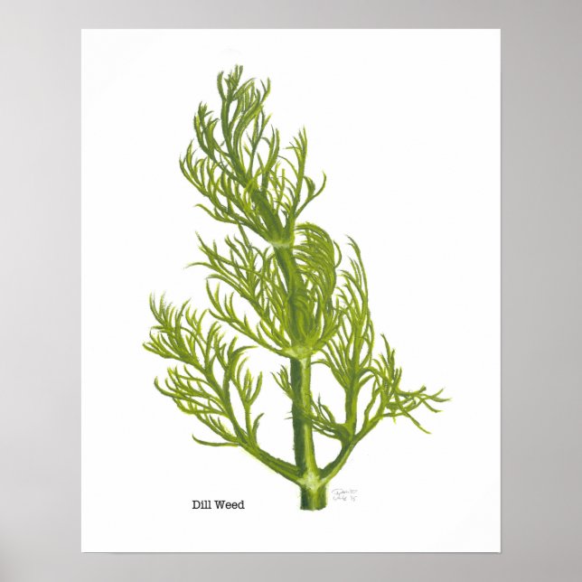 Póster Dill Poster (Frente)
