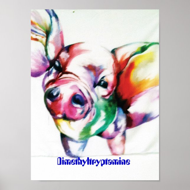 Póster Dimetiltriptamina (Frente)