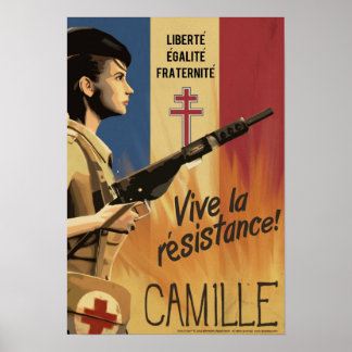 Póster Dino D-Day: Camille