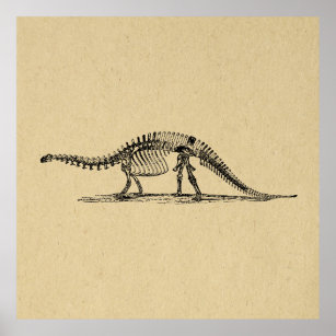 Póster Dinosaur Skeleton Vintage Art