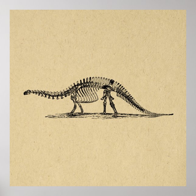 Póster Dinosaur Skeleton Vintage Art (Frente)