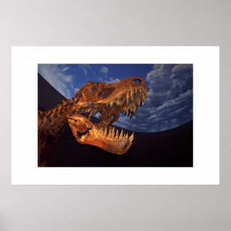 Póster Dinosaurio