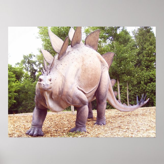 Póster Dinosaurio (Frente)