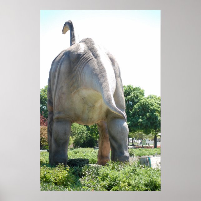 Póster Dinosaurio Brontosauro (Frente)