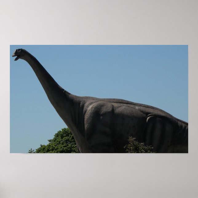 Póster Dinosaurio Brontosauro (Frente)