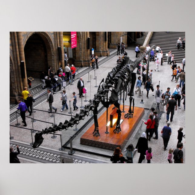 Póster Dinosaurio en el museo de Historia Natural (Frente)