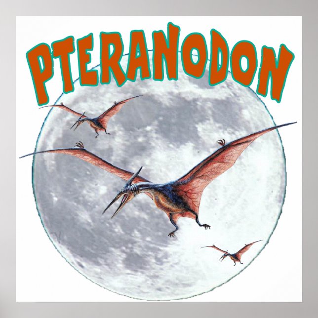 Póster Dinosaurio Pteranodon (Frente)