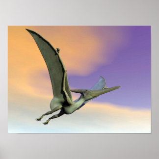 Póster Dinosaurio Pteranodon volando - rendimento 3D