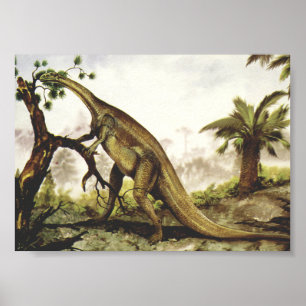 Póster Dinosaurios de época, Plateosaurus Grazing on Tre