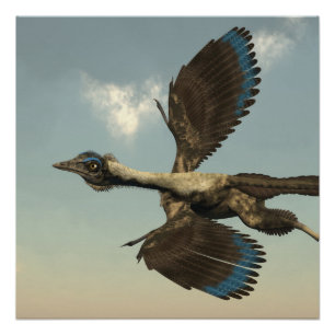 Póster Dinosaurios de los pájaros del Archaeopteryx que