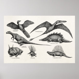 Póster Dinosaurios retro Ilustracion de dinosaurios vinta