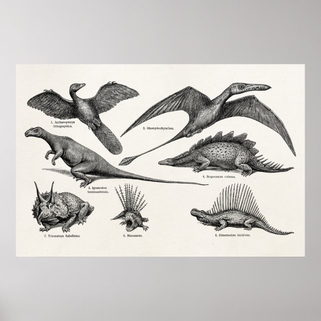 Póster Dinosaurios retro Ilustracion de dinosaurios vinta (Frente)