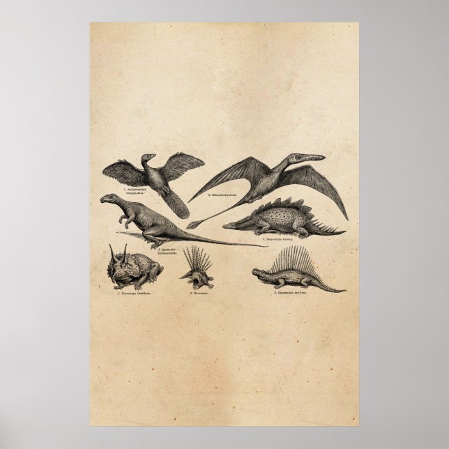 Póster Dinosaurios retro Ilustracion de dinosaurios vinta (Frente)