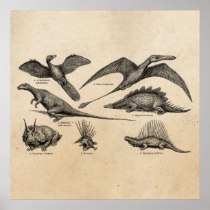 Póster Dinosaurios retro Ilustracion de dinosaurios vinta