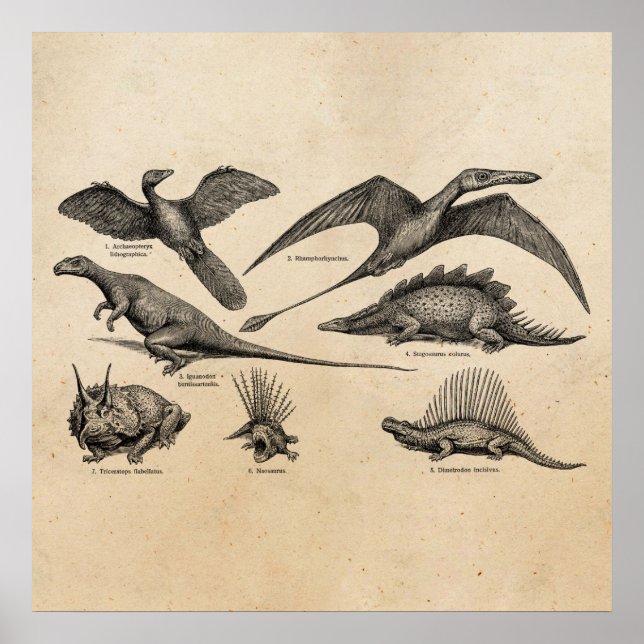 Póster Dinosaurios retro Ilustracion de dinosaurios vinta (Frente)