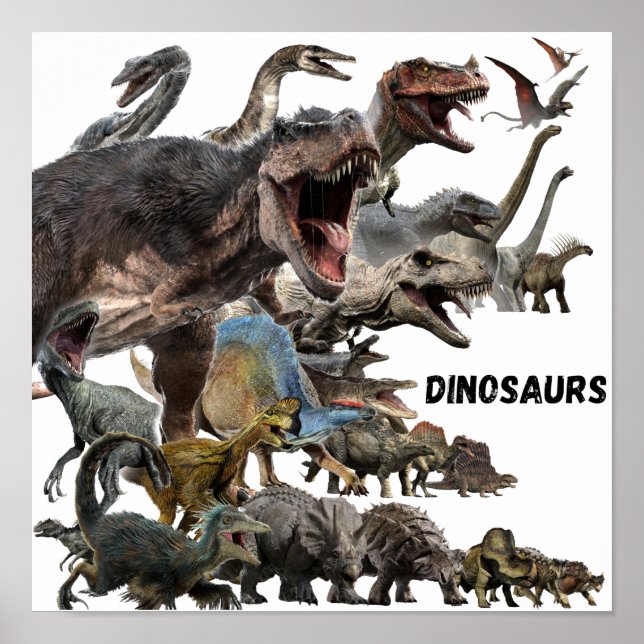 Póster Dinosaurs  (Frente)
