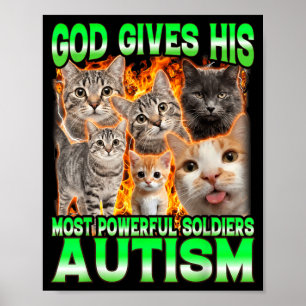 Póster Dios Da Su Meme De Gato Divertido Más Poderoso De