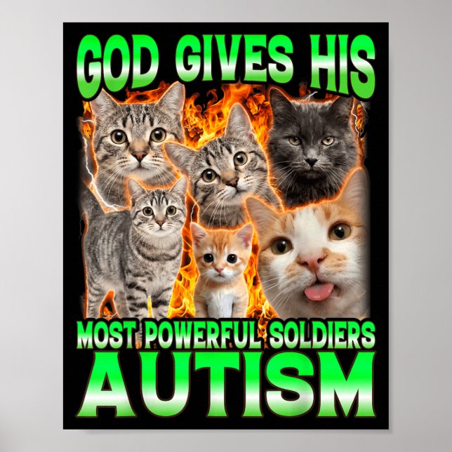 Póster Dios Da Su Meme De Gato Divertido Más Poderoso De  (Frente)