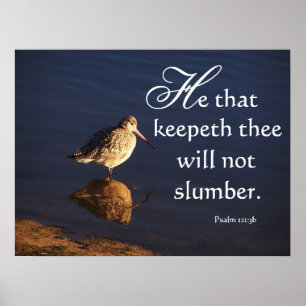 Póster Dios del pájaro de los humedales le guardará