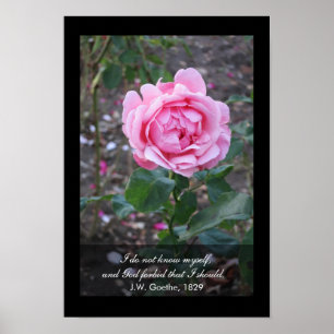 Póster Dios prohíbe que debo conocerme - la cita de