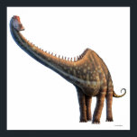 Póster Diplodocus<br><div class="desc">Diplodocus, discovered in 1877, is one of the longest known dinosaurs, reaching a length of 35 metres (115 ft) or so. Most of that, however, was tail and neck, meaning that the animal only weighed 10 to 15 tons - much less than the bulkier sauropods of similar length, such as...</div>