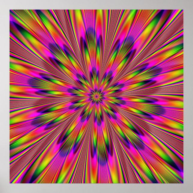 Póster Dippy Hippy (Frente)