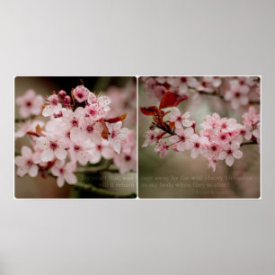 Póster Díptico Sakura