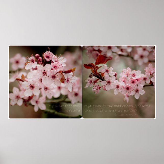 Póster Díptico Sakura (Frente)