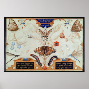 Póster Diptych with flowers and insects, 1591