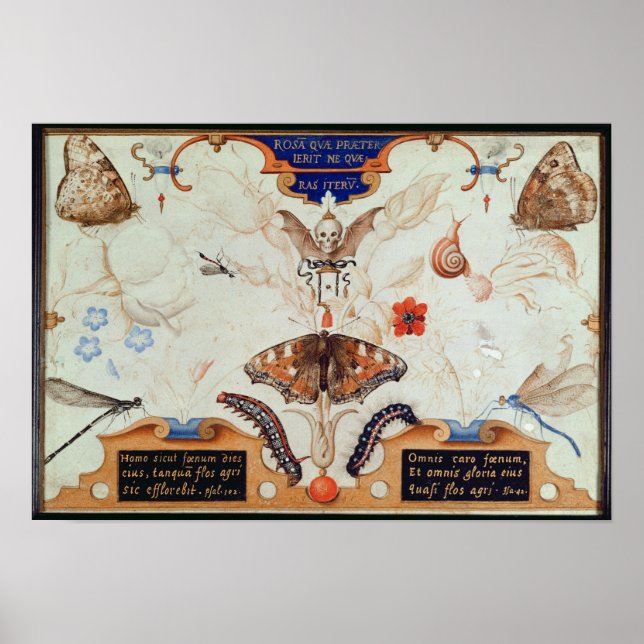 Póster Diptych with flowers and insects, 1591 (Frente)