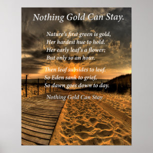 Póster Dirección de la placa