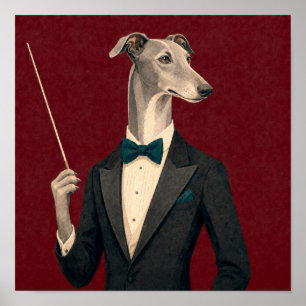 Póster Director de orquesta galgo vistiendo esmoquin y B