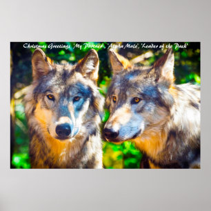 Póster Dirigente del paquete de saludos de Navidad