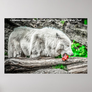 Póster Dirigente del paquete de saludos de Navidad