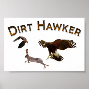 Póster Dirt Hawker
