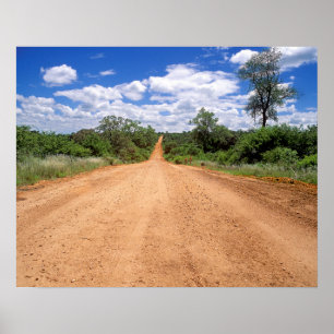 Póster Dirt Road, Kruger National Park, Mpumalanga