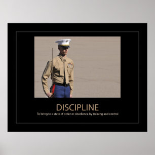 Póster Disciplina