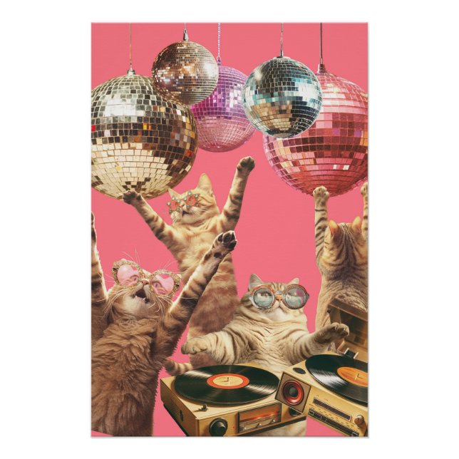 Póster Disco Cat (Anverso)