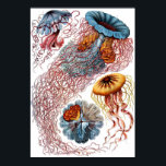 Póster Discomedusae<br><div class="desc">Un plato de "Kunstformen der Natur" (1899) de Ernst Haeckel,  que representa a Discomedusae.</div>