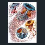 Póster Discomedusae<br><div class="desc">Un plato de "Kunstformen der Natur" (1899) de Ernst Haeckel,  que representa a Discomedusae.</div>