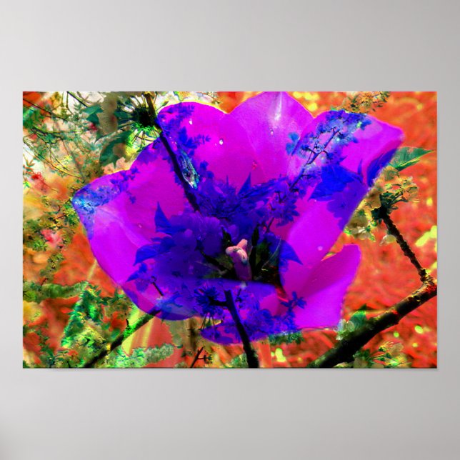 Póster disculpa perfecta (Frente)