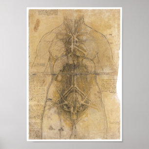 Póster Disección de los órganos de una mujer, Da Vinci